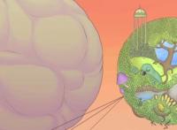 这动画，作者没吃几斤蘑菇也画不出来，里面的生物构成诡异食物链