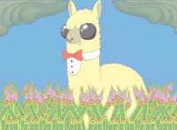 这动画，作者没吃几斤蘑菇也画不出来，里面的生物构成诡异食物链