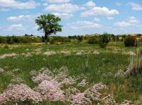 中年人的回忆杀为什么来势汹涌