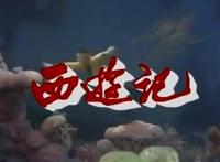 中年人的回忆杀为什么来势汹涌