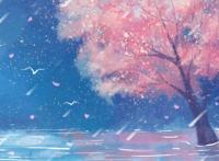 要毕业了，我该不该把爱好变成职业？｜青听