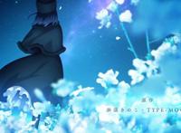 好消息：魔法使之夜官宣动画化！坏消息：小太刀可能会接手