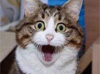 这部开场高能的四月新番，让人完全措不及防！