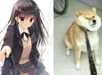 只要是妹子就都是你老婆？别想了，人家和男主都有孩子了