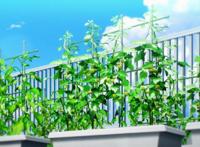 《oneroom》诚意满满的制作，泡面番照样看出恋爱的感觉