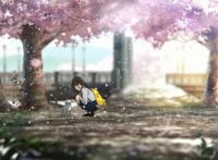 是神作还是烂片？浅析动漫电影《我想吃掉你的胰脏》