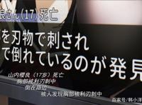 《我想吃掉你的胰脏》第一人称进入动漫，你就是主角！她过得好吗