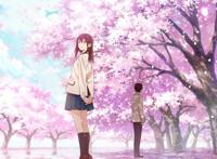 我想吃掉你的胰脏：这是我听过最甜的一句告白，活着只为遇见你