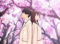 动画电影《我想吃掉你的胰脏》19年1月18日催泪上映