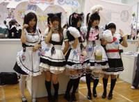 让萝莉控当女仆是一种什么样的体验？这部动画的女主给出了答案