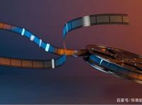 “中国迪士尼”大败局