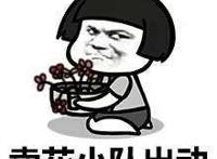 一年一度的虐狗节又来临，今年的狗粮也是如此酸甜呢