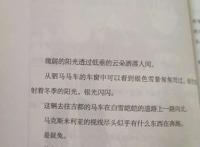 《异世界居酒屋03》：美食成就各式灵魂的安然栖息与完美救赎