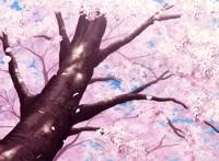 5部以武士题材的暗黑动画，只有凄惨的结局才能记忆犹新！