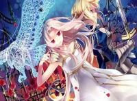 樱酱带您了解好看动漫《fate》系列中爱丽丝菲尔的故事