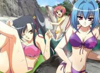 如果你不讨厌百合而且喜欢的话，那么将有很多番适合你