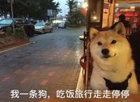 一次怼个遍！看完网上对《哪吒》的差评，我忍不住了