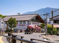 霓虹国最好的季节，去看看那花花世界～日本游