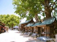 霓虹国最好的季节，去看看那花花世界～日本游