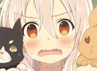 动漫中可爱的白长直萝莉，你喜欢哪一个？