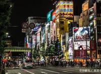 日本游玩最大感受：樱花动漫要看水比奶贵不要打的士