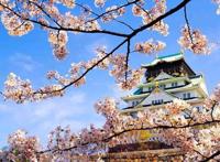 去日本旅游虽好，但如果当地人对你做了这个动作，那可就要小心了