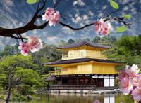 去日本旅游虽好，但如果当地人对你做了这个动作，那可就要小心了