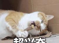 1月大作连连，《一拳超人》动画制作团队 史诗级原著=？