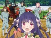 动漫：千万不要观看这些后宫番，容易上瘾！