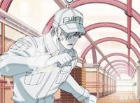 四部最热门的动漫新番你看了吗？《后街女孩》《工作细胞》均上榜