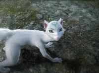 武动乾坤：小貂的来历太过神秘，这只大耗子究竟有何等背景