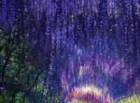 各类动漫美女，帅哥，风景分享