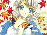 魔卡少女樱：漫画16-30话高清封面图片，其中有彩蛋哦