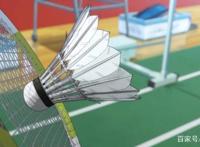 轻羽飞扬，重燃的体育动漫