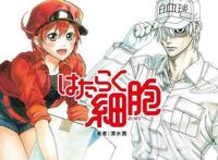 史上最差运动番，轻羽飞扬，为何被网友戏称为自闭飞扬？