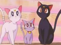 为什么《美少女战士》越来越成人化了？