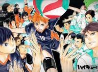 排球少年：运动番永不过时，教练我要打排球！