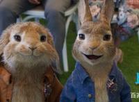 郭麒麟魂穿“兔界一哥”《比得兔2：逃跑计划》中文配音版绝了