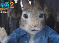 《比得兔2：逃跑计划》票房破亿口碑领跑成周末家庭观影之选