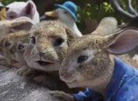 《比得兔2：逃跑计划》：城市套路深，我要回农村