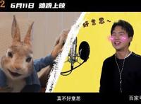 郭麒麟配音的《比得兔2：逃跑计划》刷新了年度动画电影评分