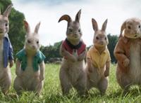 《比得兔2：逃跑计划》发城市探险预告萌兔全体回归开启城市冒险