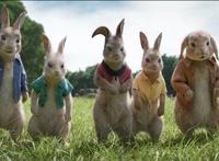 《比得兔2：逃跑计划》发城市探险预告萌兔全体回归开启城市冒险