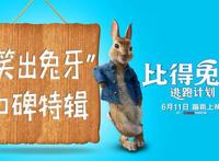 「消息」《比得兔2：逃跑计划》明日上映观众大赞称其解压治愈欢乐不断