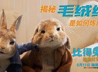 「消息」《比得兔2：逃跑计划》特效满分让可爱渗透到每一根毛发