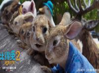 《比得兔2：逃跑计划》爆笑不断，影片好评如潮，寓意引人共鸣