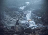 车枪球、乙女向、仙侠类，谁是2021年游戏题材的夺宝奇兵？