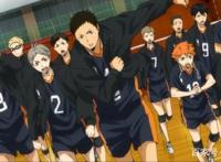 《排球少年》第四季先导片来了，寒假正式放映，敬请期待