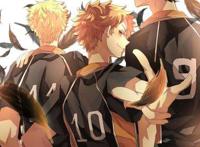 最受推荐的青春励志向动漫之一——《排球少年！》