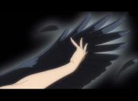 排球少年：我辈名为日向则向阳而生，定要看看顶端的景色